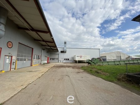 Beheizbare Lagerhalle mit rd. 7 bis 9 Meter Hallenhöhe, diversen Krananlagen, Freiflächen etc. in Asten zu vermieten!