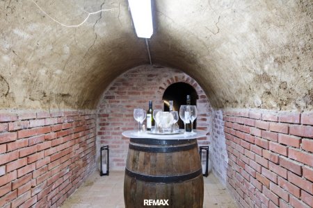Charmanter Weinkeller mit Potenzial, Pizzaofen und Grünfläche in traditioneller Kellergasse – Wilfersdorf bei Mistelbach