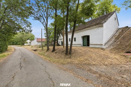 Charmantes Weinpresshaus mit Weinkeller in Minichhofen – Idyllische Grünruhelage im sonnigen Weinviertel