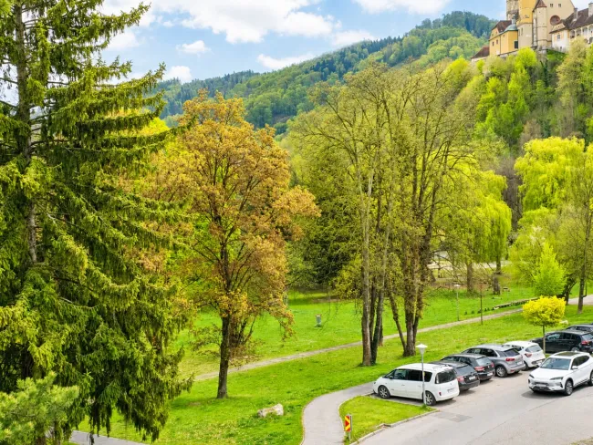 Helle großzügige 3-Zimmer-Wohnung mit Loggia, Tiefgarage & Parkblick in Judendorf - Bild