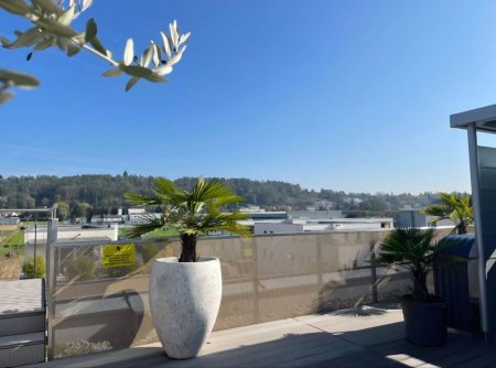 Exklusive Penthouse-Wohnung mit 2 großzügigen Terrassen & traumhafter Dachterrasse mit 360°-Blick!