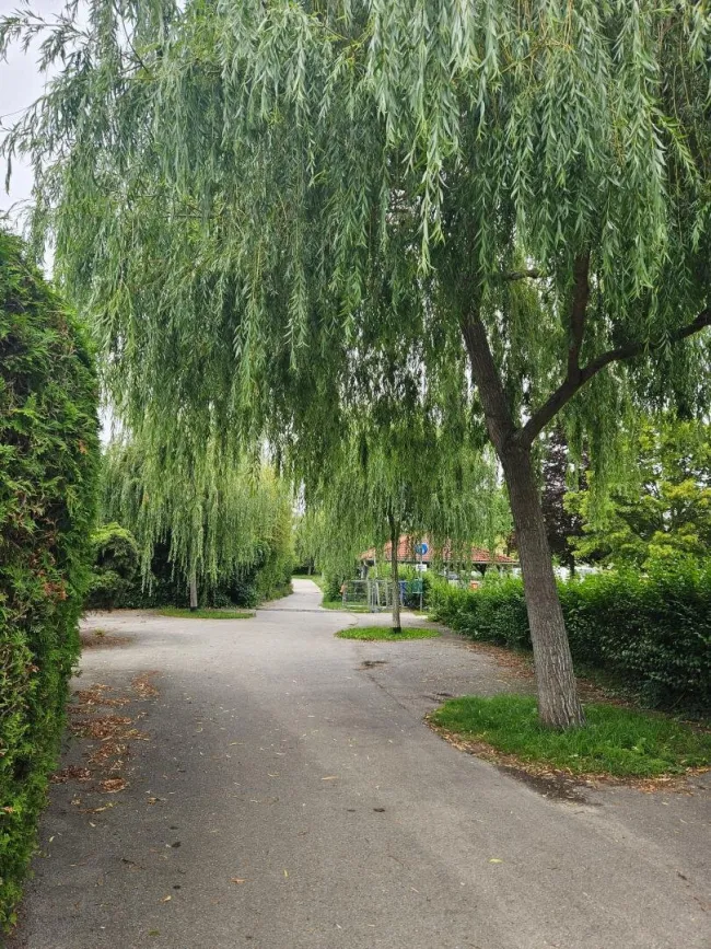 Umgebung