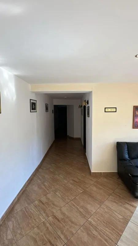 3645634
