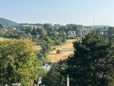Ausblick