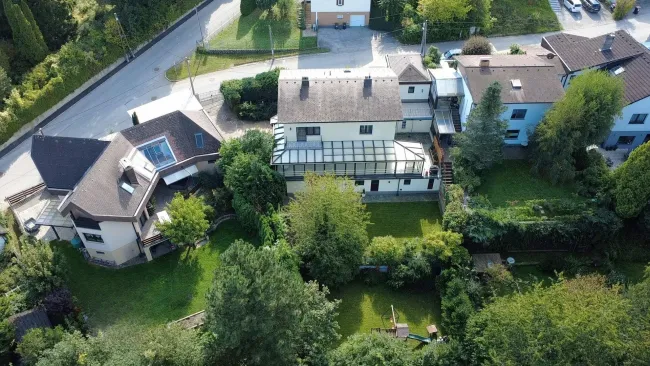 Topview back