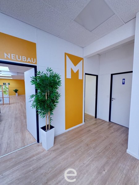 Büro in Hörsching – ca. 44 m², sofort verfügbar