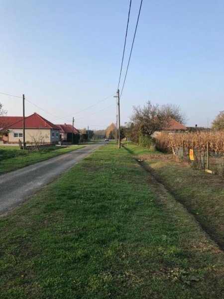 Baugrundstück im südöstlichen Hügelland des Balatons zu verkaufen