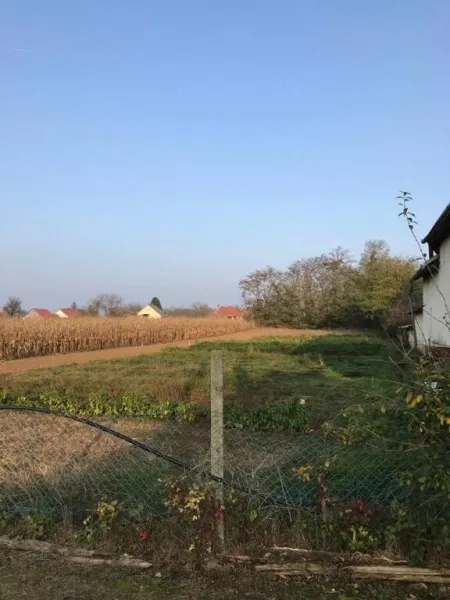 Baugrundstück im südöstlichen Hügelland des Balatons zu verkaufen - Bild