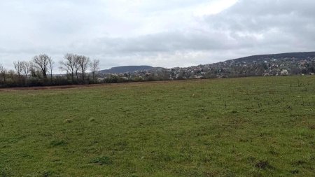 01_panorama_landscape