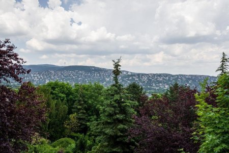 Panoramic view