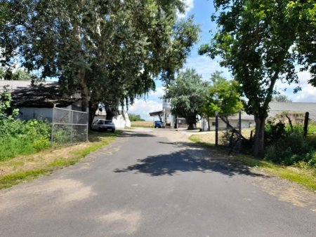 Nagyberény Dryer and a store