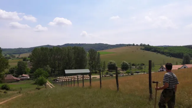 Iliny - Weide im Sommer