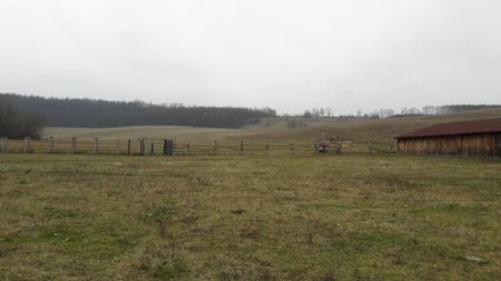 Iliny - Weide