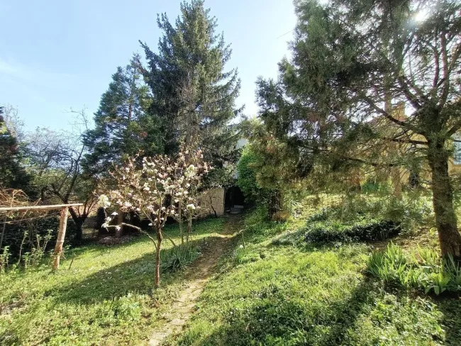 18. Hinterhof