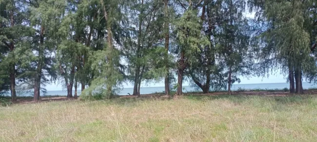 1715584914333