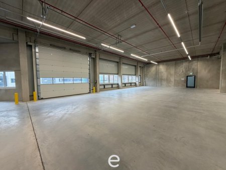 NEUBAU - Produktions / Lagerhalle mit Büroflächen in Enns/Ennshafen zu vermieten – individuell und zukunftsorientiert