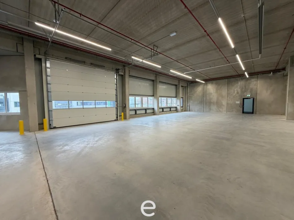 NEUBAU - Produktions / Lagerhalle mit Büroflächen in Enns/Ennshafen zu vermieten – individuell und zukunftsorientiert - Bild