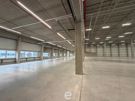 NEUBAU - Produktions / Lagerhalle mit Büroflächen in Enns/Ennshafen zu vermieten – individuell und zukunftsorientiert