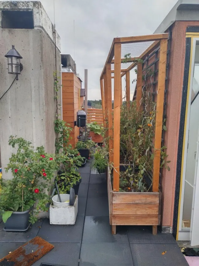 Dachterrasse 3 ETW