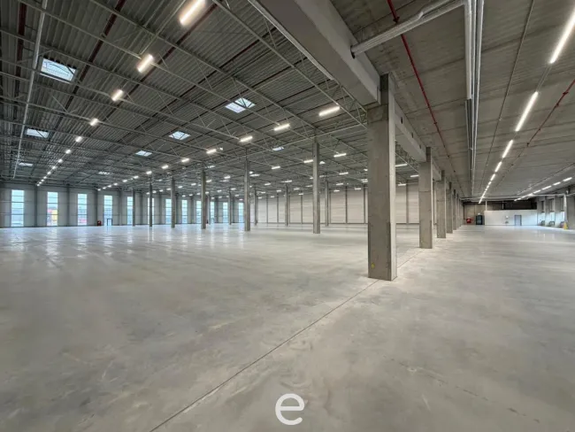 NEUBAU - Produktions / Lagerhalle mit Büroflächen in Enns/Ennshafen zu vermieten – individuell und zukunftsorientiert - Titelbild