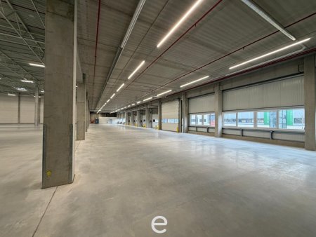NEUBAU - Produktions / Lagerhalle mit Büroflächen in Enns/Ennshafen zu vermieten – individuell und zukunftsorientiert