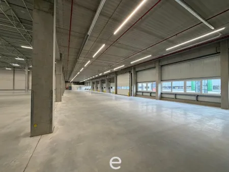 NEUBAU - Produktions / Lagerhalle mit Büroflächen in Enns/Ennshafen zu vermieten – individuell und zukunftsorientiert
