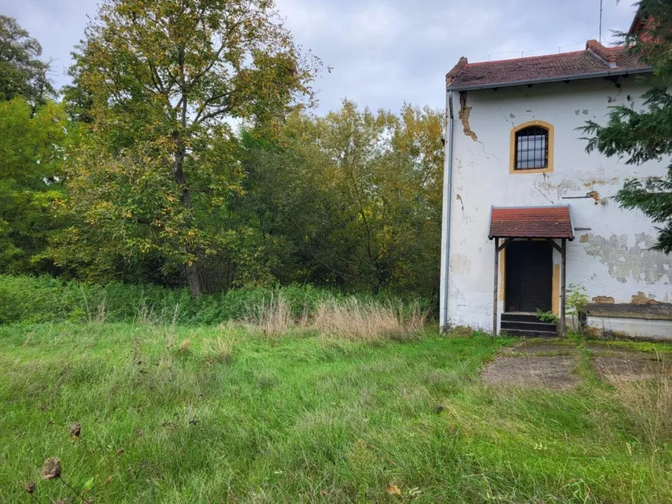 HISTORISCHE MÜHLE MIT EIGENER STROMVERSORGUNG IN SÜDUNGARN - Bild