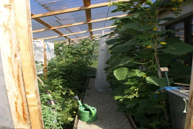 Wintergarten