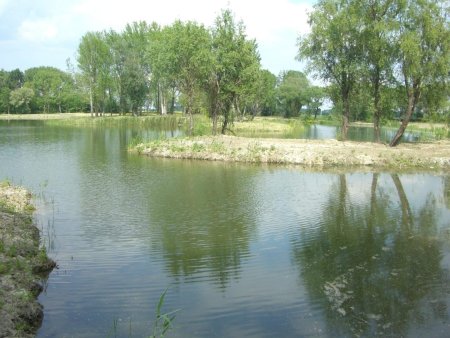 Privates See-Resort mit 3 Ferienhäusern – exklusives Investmentobjekt in Westungarn