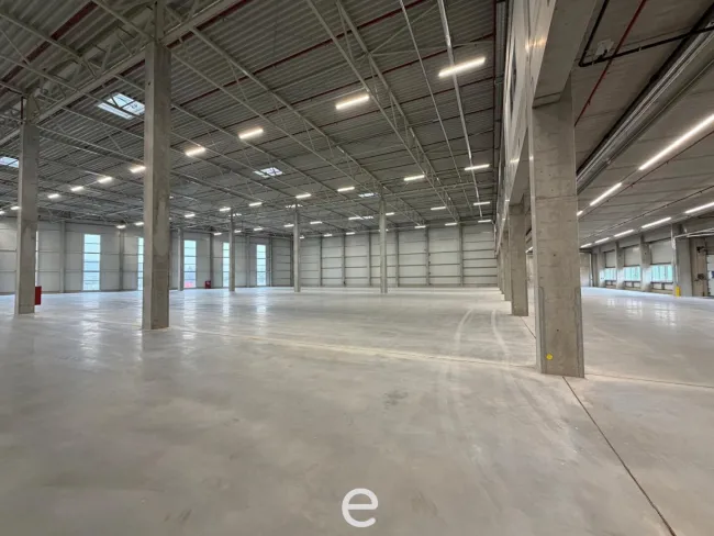 NEUBAU - Produktions / Lagerhalle mit Büroflächen in Enns/Ennshafen zu vermieten – individuell und zukunftsorientiert - Bild