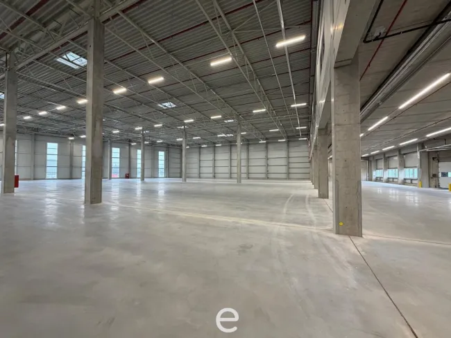 NEUBAU - Produktions / Lagerhalle mit Büroflächen in Enns/Ennshafen zu vermieten – individuell und zukunftsorientiert - Titelbild