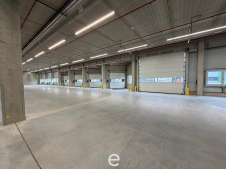 NEUBAU - Produktions / Lagerhalle mit Büroflächen in Enns/Ennshafen zu vermieten – individuell und zukunftsorientiert