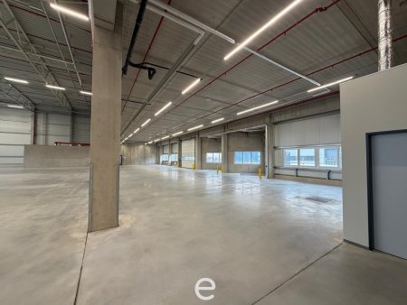 NEUBAU - Produktions / Lagerhalle mit Büroflächen in Enns/Ennshafen zu vermieten – individuell und zukunftsorientiert