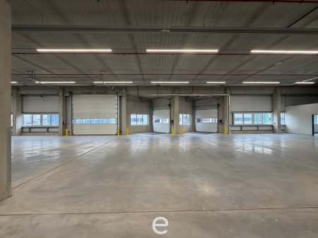 NEUBAU - Produktions / Lagerhalle mit Büroflächen in Enns/Ennshafen zu vermieten – individuell und zukunftsorientiert