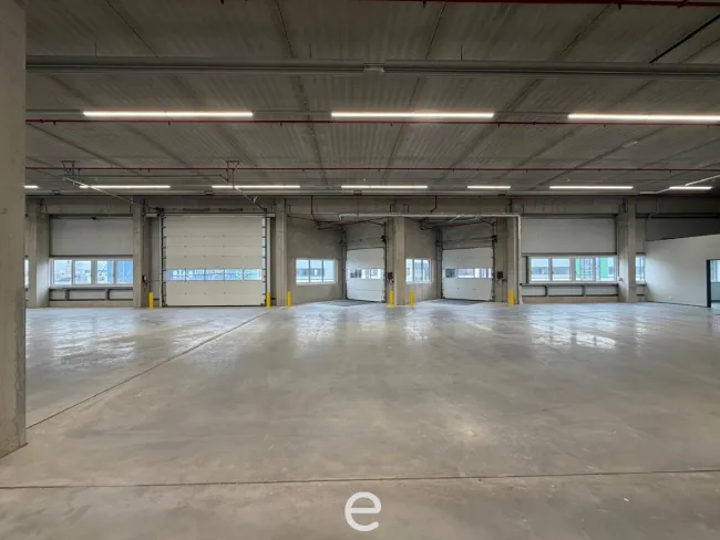 NEUBAU - Produktions / Lagerhalle mit Büroflächen in Enns/Ennshafen zu vermieten – individuell und zukunftsorientiert - Bild