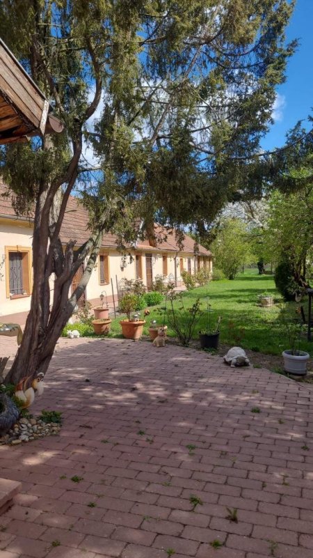 Charmante Liegenschaft mit 3 Wohneinheiten und großem Grundstück zum Verkauf – nahe Balaton