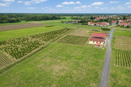 Luftaufnahme des gesamten Areals