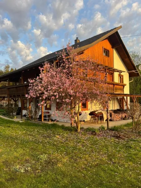 Haus