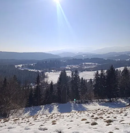 Ausblick