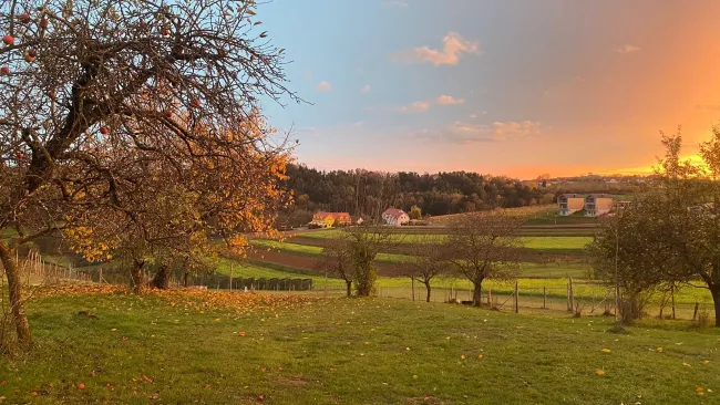 20240807_173738.jpg