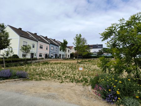 Weingartenstraße.jpg