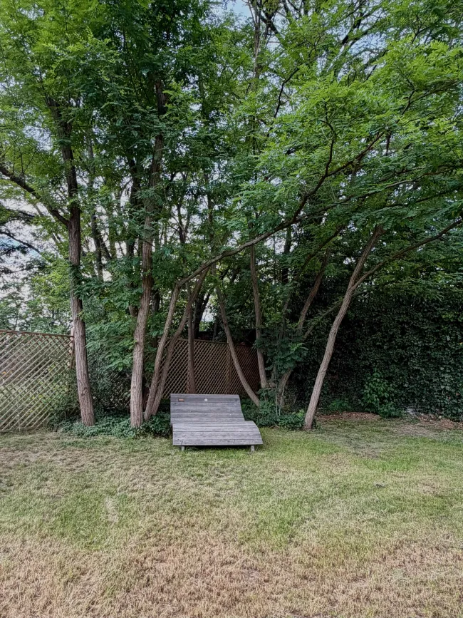 IMG_2048.jpeg