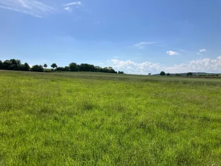 Blick von Nord nach Süd 2