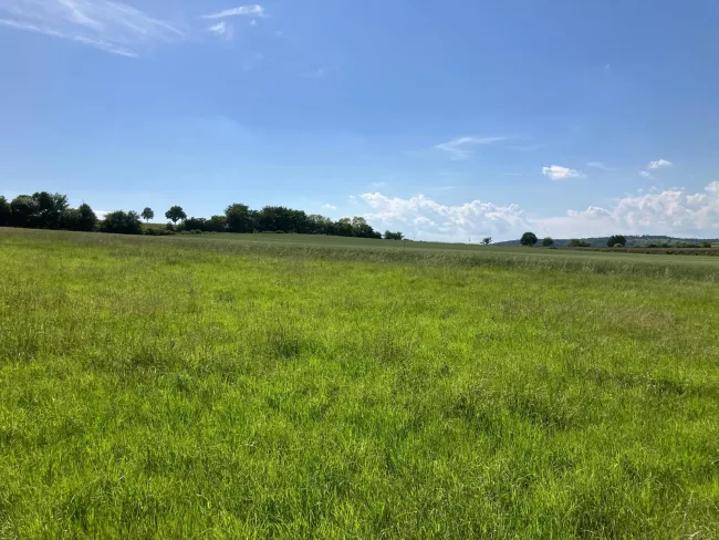 Blick von Nord nach Süd 2