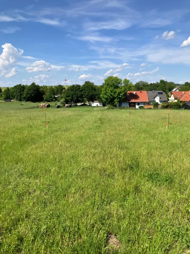 Blick von Süd nach Nord