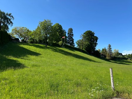 IMG_5550.jpeg