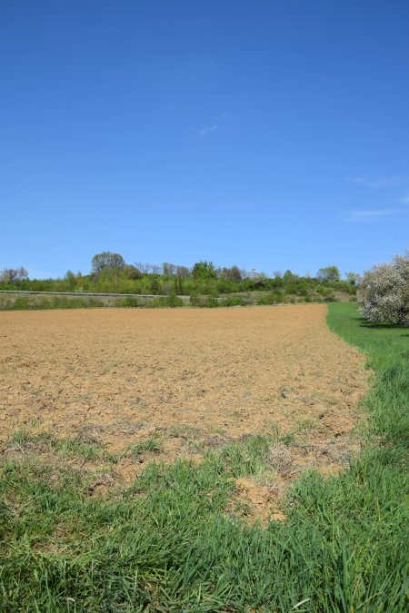 Betriebsgebiet Oberwart