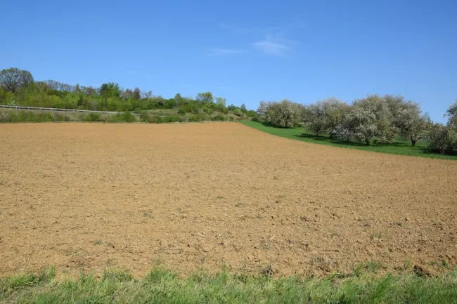 Grundstück in Oberwart