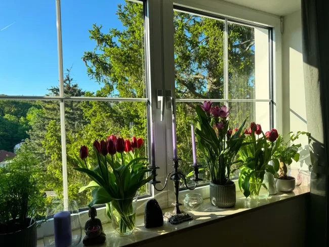 Blick aus dem Schlafzimmer