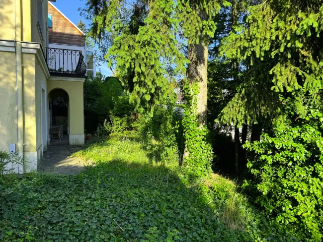 Vorgarten